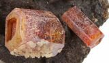 Red Vanadinite Crystals on Manganese Oxide - Morocco #38470-2